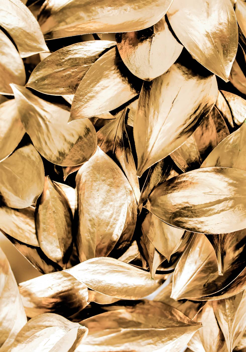 Poster mit goldenen Blättern - Posterbox.no