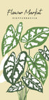 Blumenmarkt 13 Poster - Posterbox.no