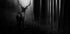 Stag - Posterbox