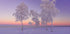 January evening Plakat - Posterbox