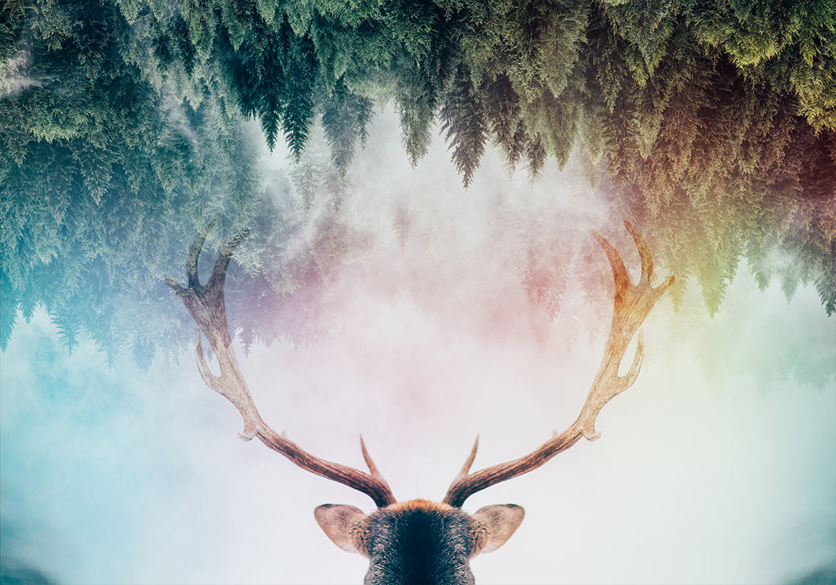 Antler Plakat - Posterbox