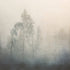 Silent Landscape Poster - Posterbox