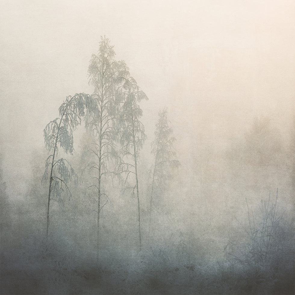 Silent Landscape Poster - Posterbox