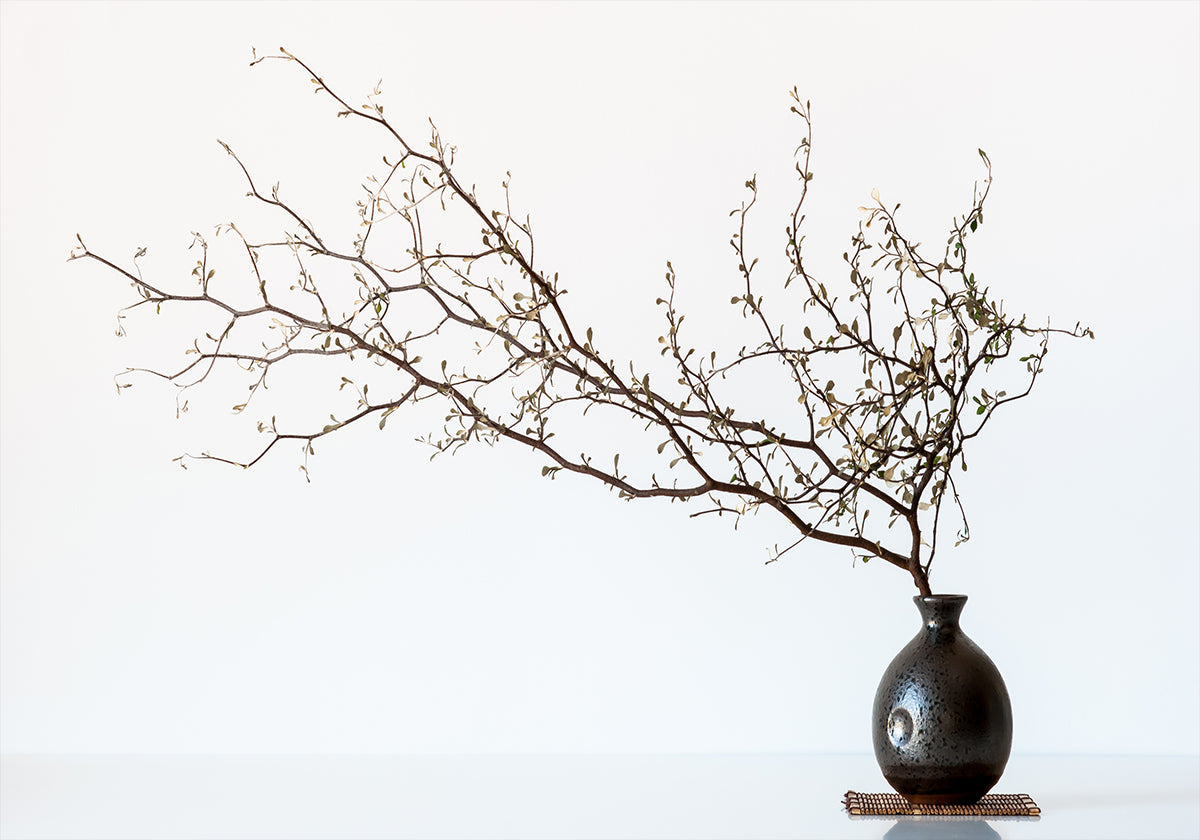 Vase And Branch - Posterbox