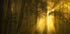 Yellow - Posterbox