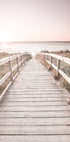 Path to the Beach Poster - Posterbox.no