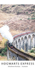 Hogwarts Express Nr. 1 Poster - Posterbox.no
