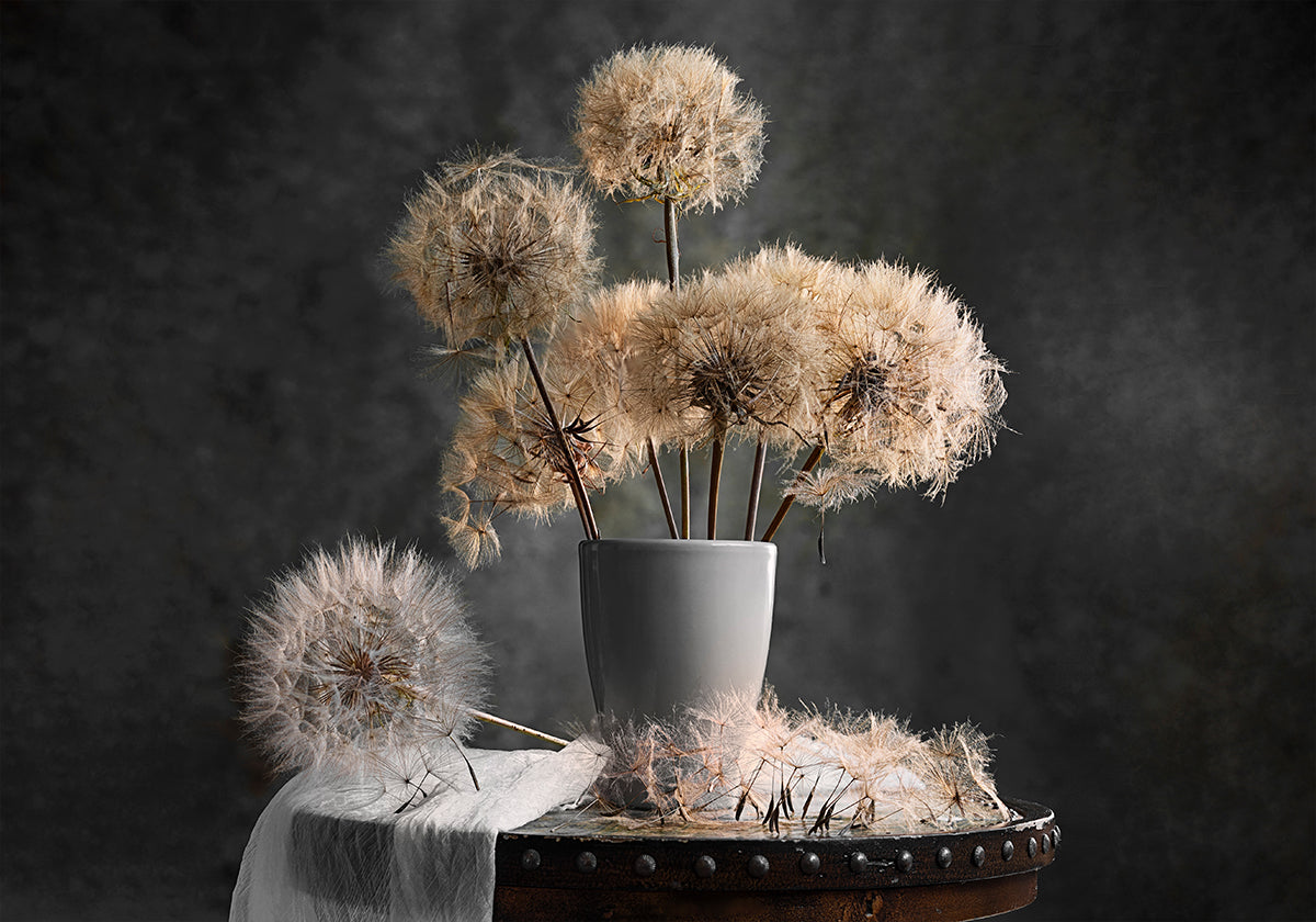 Dandelion Seed Pod - Posterbox