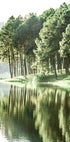 Green Summer Lake Poster - Posterbox.no