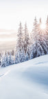 Winter-Sonnenaufgang-Poster - Posterbox.no