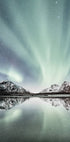 Nordlicht Aurora Borealis Poster - Posterbox.no