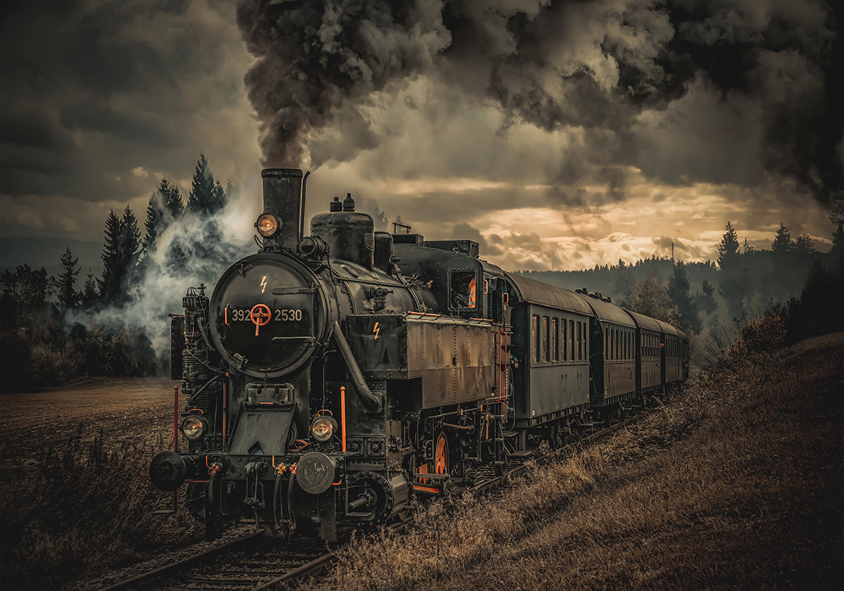 Gold digger train Plakat - Posterbox