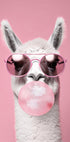 Lama mit Kaugummi Poster - Posterbox.no