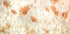 Poppies in the field - Posterbox