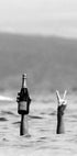 Frau mit Wein am Strand Poster - Posterbox.no