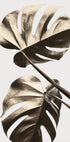 Monstera Gold 08 Plakat - Posterbox