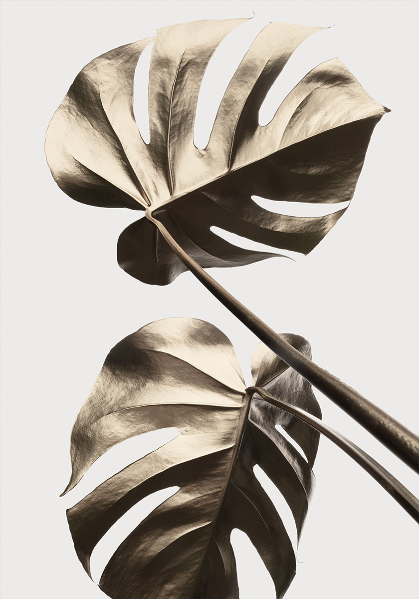 Monstera Gold 08 Plakat - Posterbox