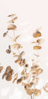 Eucalyptus Creative Gold 03 Plakat - Posterbox