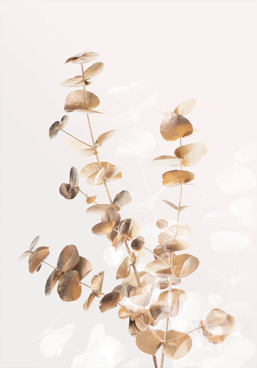 Eucalyptus Creative Gold 03 Plakat - Posterbox