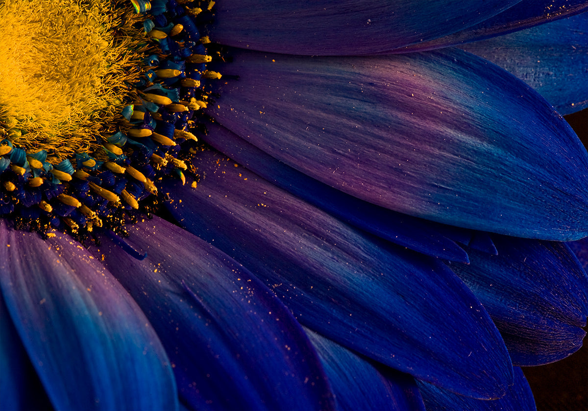 Blue Rays Plakat - Posterbox