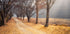 In the middle of autumn Plakat - Posterbox