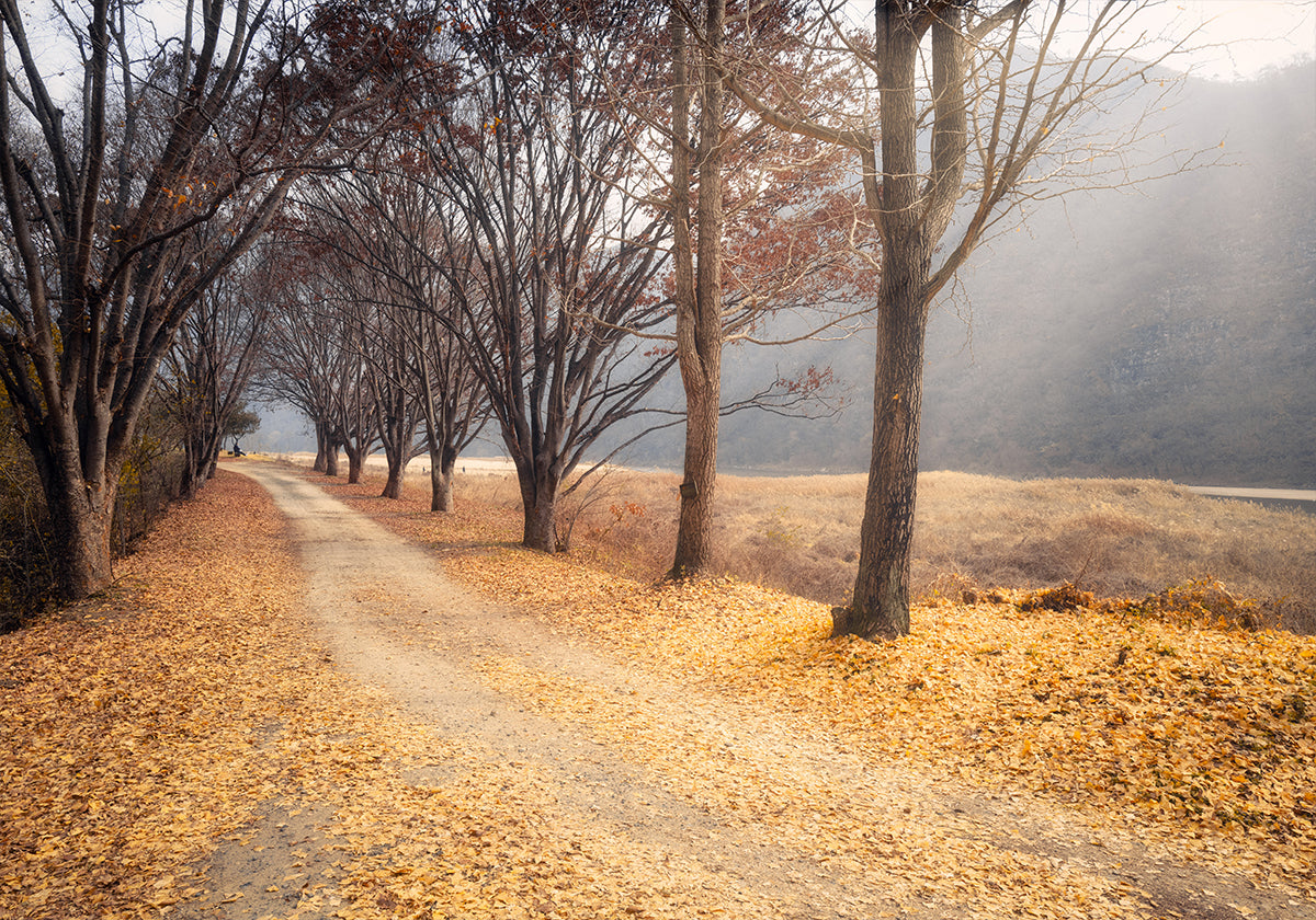In the middle of autumn Plakat - Posterbox