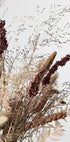 Dried_001 - Posterbox