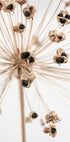 Dried_007 - Posterbox