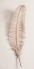 Feather No.2 Plakat - Posterbox