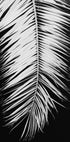 Palmblad No.4 Plakat - Posterbox