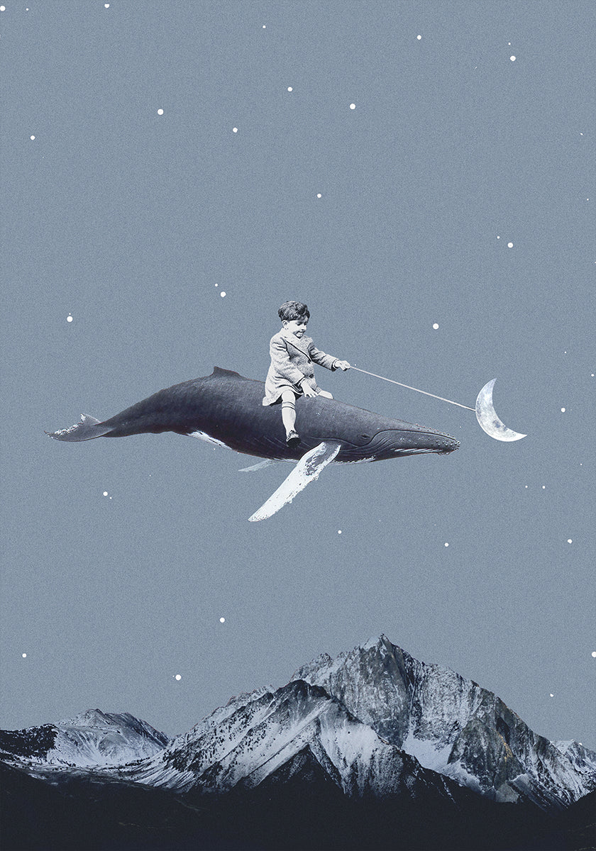Aim for the moon Plakat - Posterbox