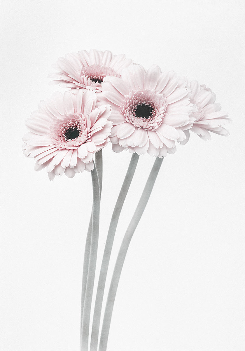 Pink Flowers  Plakat - Posterbox