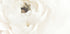 White Flower Plakat - Posterbox