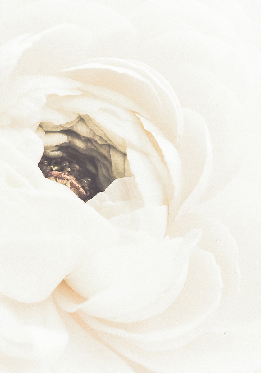White Flower No.1 Plakat - Posterbox