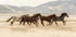 Wildpferde rennendes Poster - Posterbox.dk