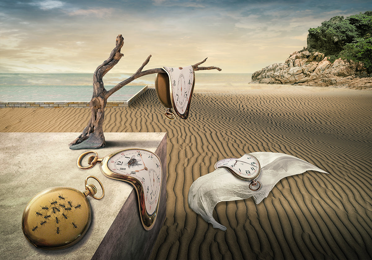 Hommage Dali Plakat - Posterbox