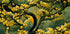 Golden Blossom Tree Plakat - Posterbox
