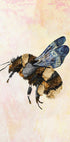 Grunge Watercolour Bee Plakat - Posterbox
