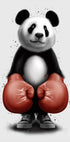 PANDA BOXER Plakat - Posterbox