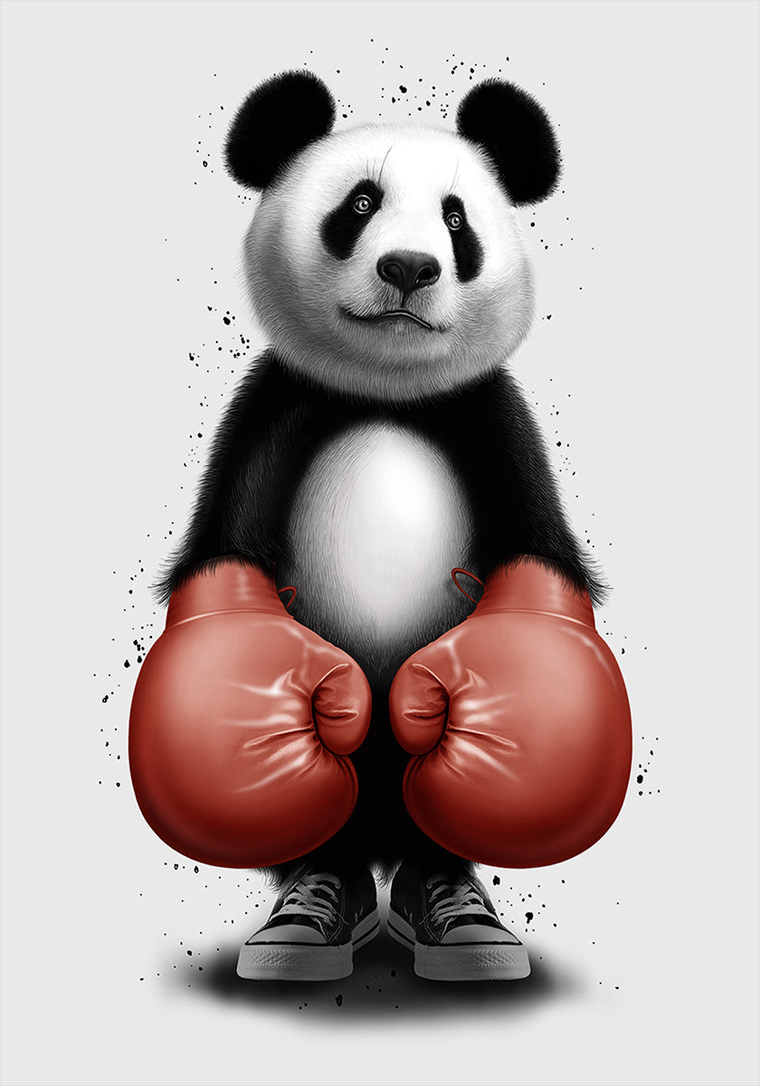 PANDA BOXER Plakat - Posterbox