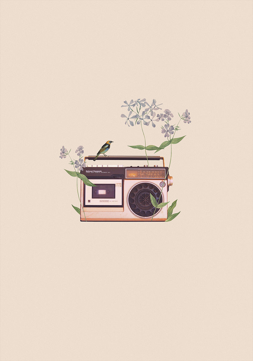 Floral vintage radio Plakat - Posterbox