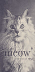Famous Quote Cat Plakat - Posterbox