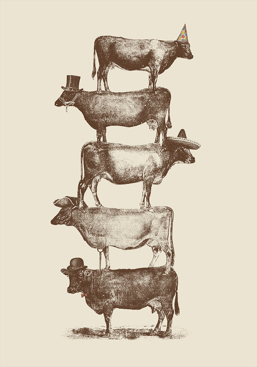 Cow Cow Nuts Plakat - Posterbox
