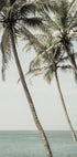 Ocean Breeze Palms Plakat - Posterbox