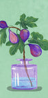 Figs Branch In Vase Plakat - Posterbox