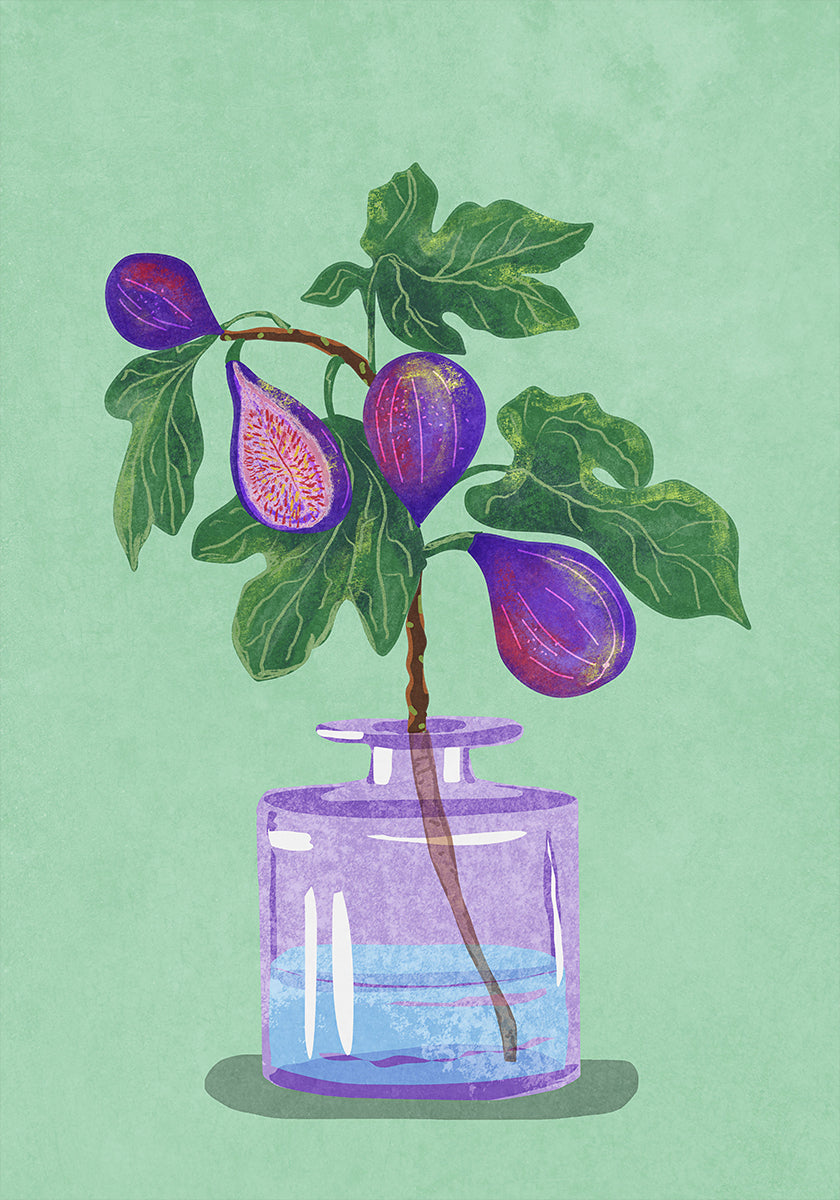 Figs Branch In Vase Plakat - Posterbox