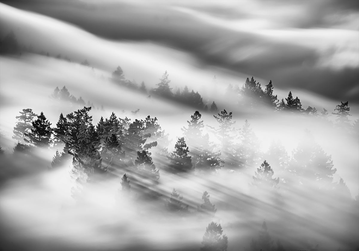 Whispers Through the Mist Plakat - Posterbox