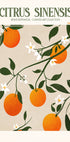 Orange Elegance Plakat - Posterbox