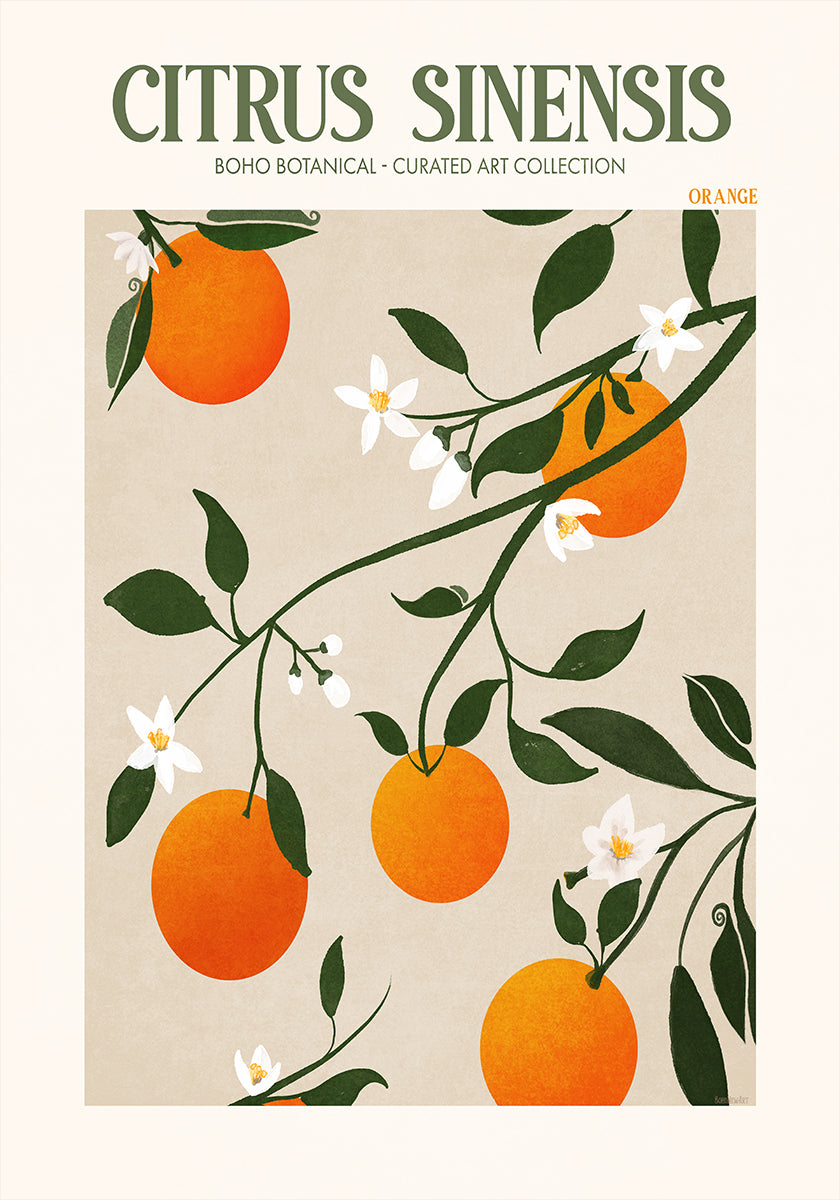 Orange Elegance Plakat - Posterbox