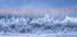 Autumn and Winter gradients Plakat - Posterbox